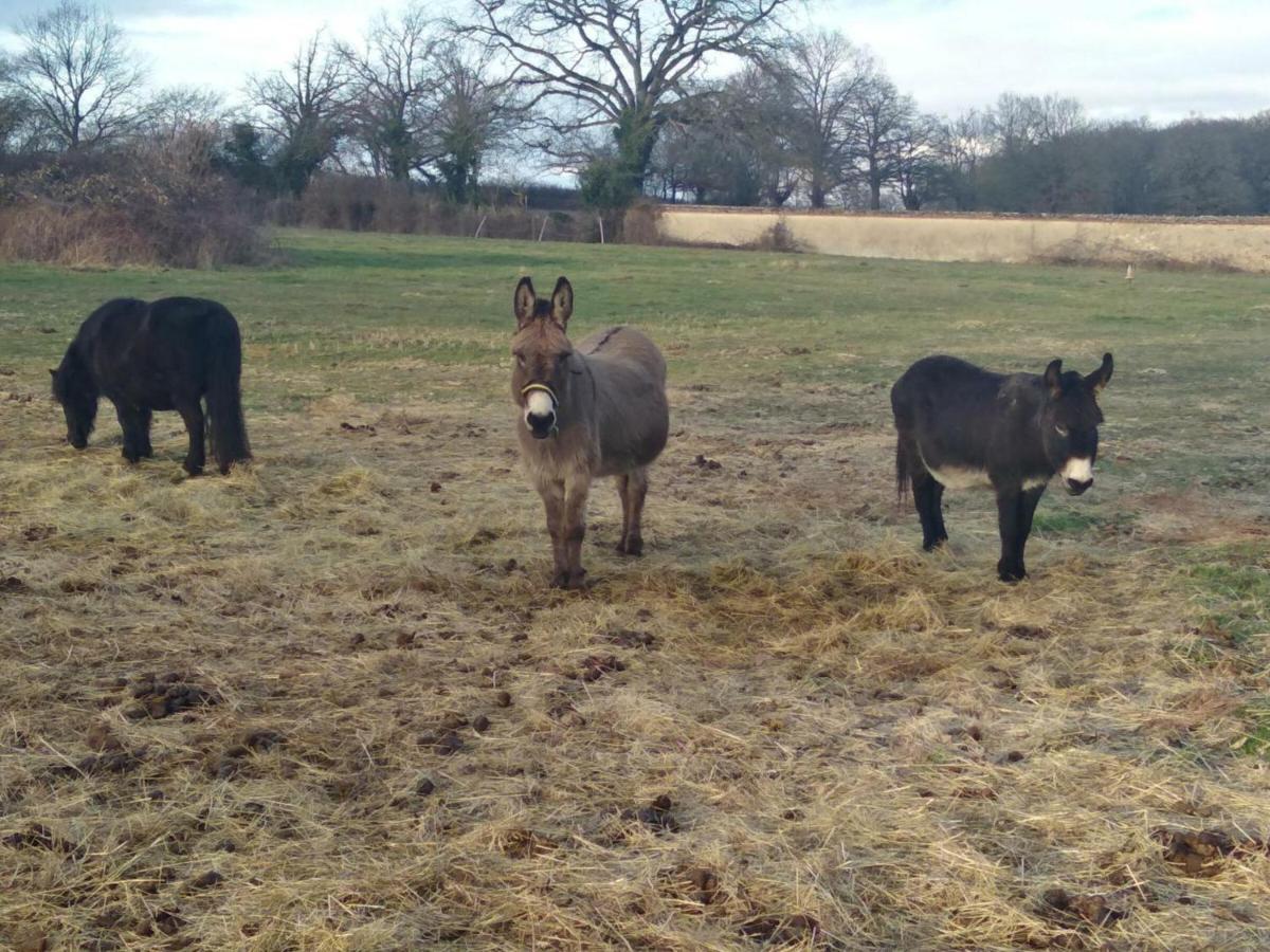 Bergerie Restauree Avec Cheminee, Jardin Clos, Animaux Acceptes - Fr-1-489-13 Sauvagny 外观 照片