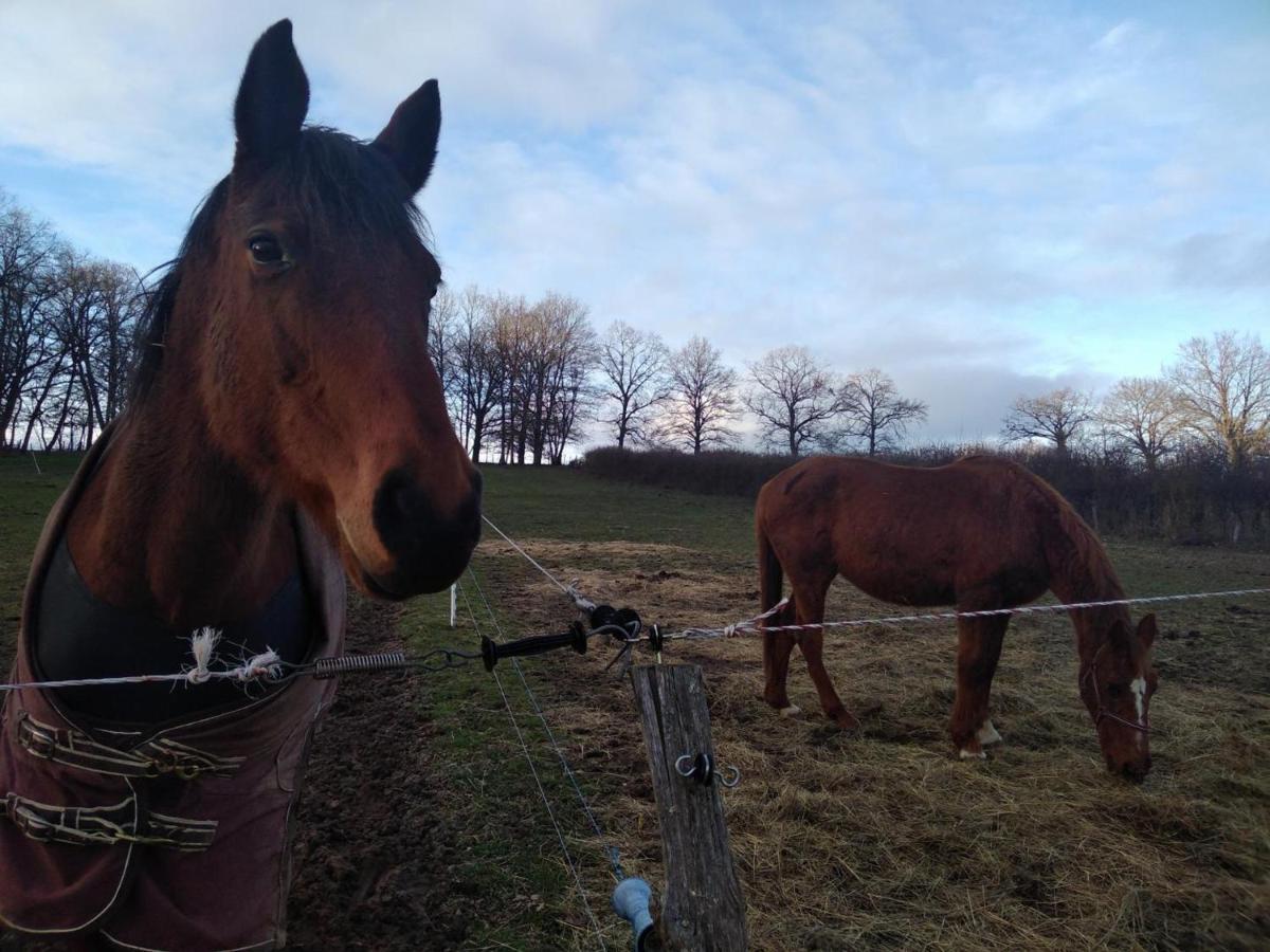 Bergerie Restauree Avec Cheminee, Jardin Clos, Animaux Acceptes - Fr-1-489-13 Sauvagny 外观 照片